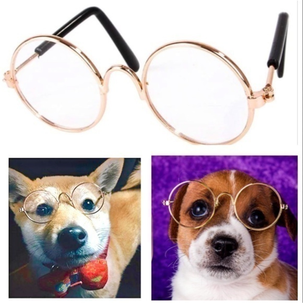 Dog - Cat - Baby Doll Glasses - Spectacles!